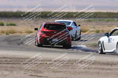 media/Oct-04-2025-OnGrid (Sat) [[44bd565ffa]]/Purple Group/Grapevine/